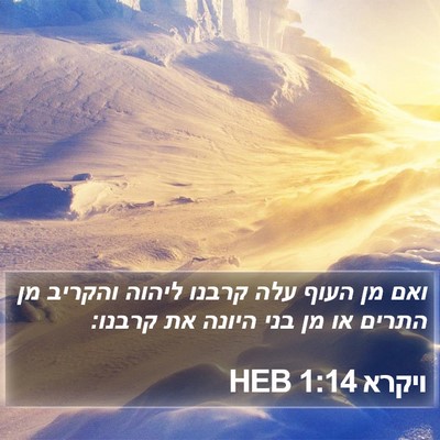 ויקרא 1:14 HEB Bible Verse Image
