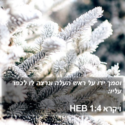 ויקרא 1:4 HEB Bible Verse Image