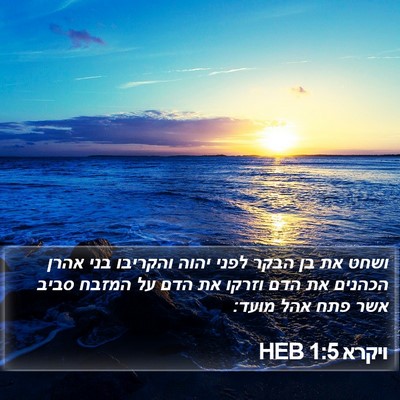 ויקרא 1:5 HEB Bible Verse Image
