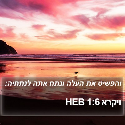 ויקרא 1:6 HEB Bible Verse Image