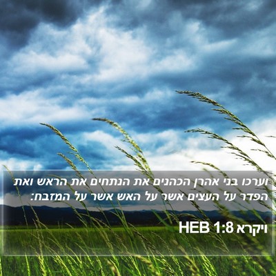 ויקרא 1:8 HEB Bible Verse Image