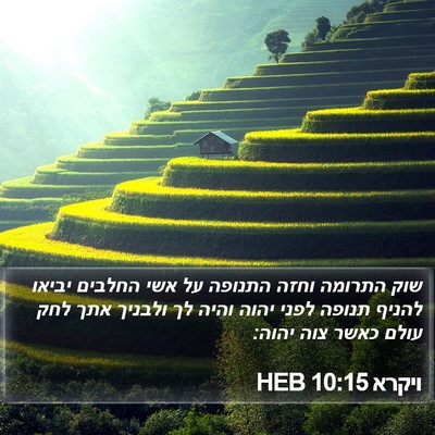 ויקרא 10:15 HEB Bible Verse Image