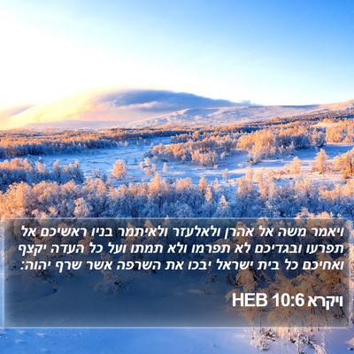 ויקרא 10:6 HEB Bible Verse Image