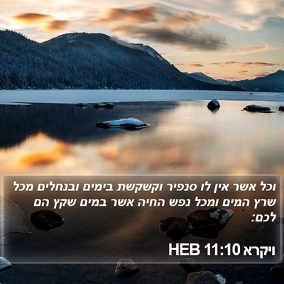 ויקרא 11:10 HEB Bible Verse Image
