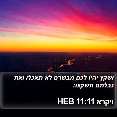 ויקרא 11:11 HEB Bible Verse Image