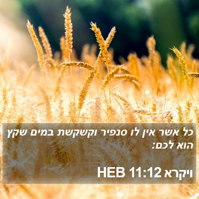 ויקרא 11:12 HEB Bible Verse Image