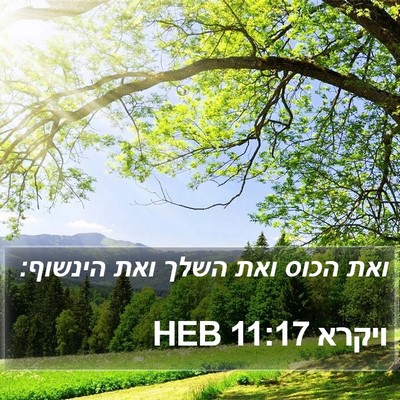 ויקרא 11:17 HEB Bible Verse Image