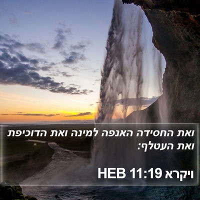 ויקרא 11:19 HEB Bible Verse Image