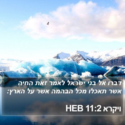 ויקרא 11:2 HEB Bible Verse Image