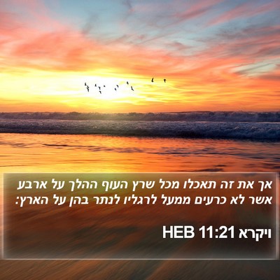 ויקרא 11:21 HEB Bible Verse Image