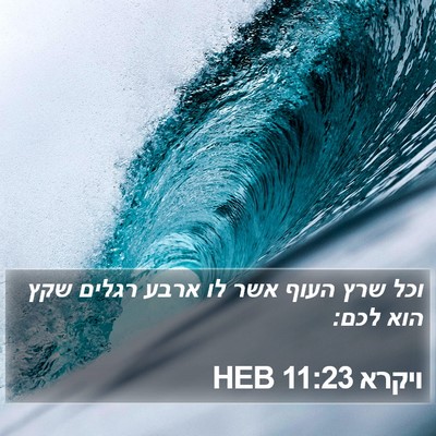 ויקרא 11:23 HEB Bible Verse Image