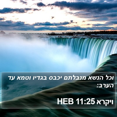 ויקרא 11:25 HEB Bible Verse Image