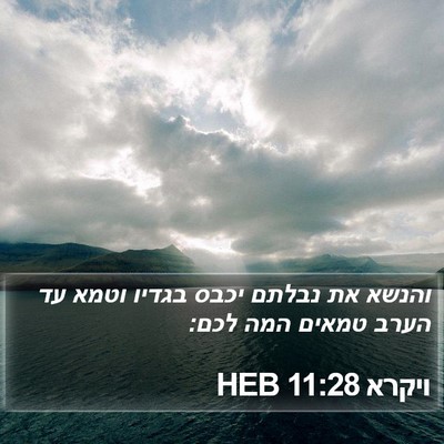 ויקרא 11:28 HEB Bible Verse Image
