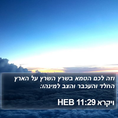 ויקרא 11:29 HEB Bible Verse Image