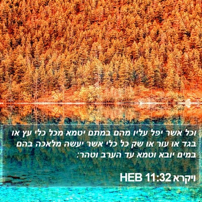 ויקרא 11:32 HEB Bible Verse Image