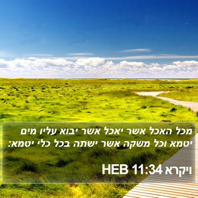 ויקרא 11:34 HEB Bible Verse Image