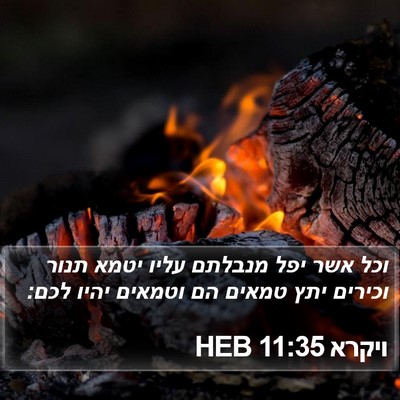ויקרא 11:35 HEB Bible Verse Image