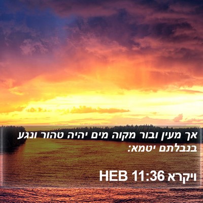 ויקרא 11:36 HEB Bible Verse Image