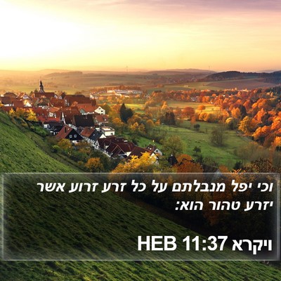 ויקרא 11:37 HEB Bible Verse Image