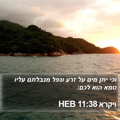 ויקרא 11:38 HEB Bible Verse Image