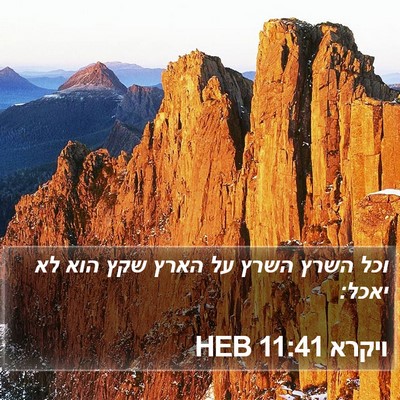 ויקרא 11:41 HEB Bible Verse Image