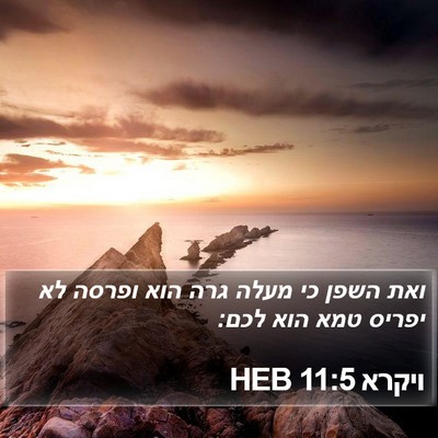 ויקרא 11:5 HEB Bible Verse Image