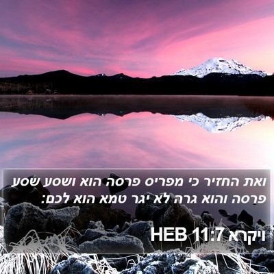ויקרא 11:7 HEB Bible Verse Image