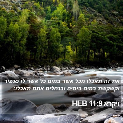 ויקרא 11:9 HEB Bible Verse Image