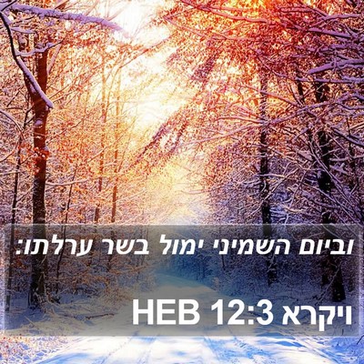 ויקרא 12:3 HEB Bible Verse Image
