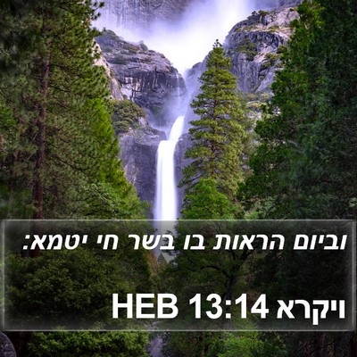 ויקרא 13:14 HEB Bible Verse Image