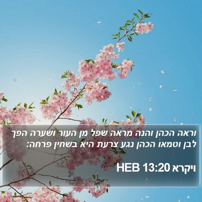 ויקרא 13:20 HEB Bible Verse Image