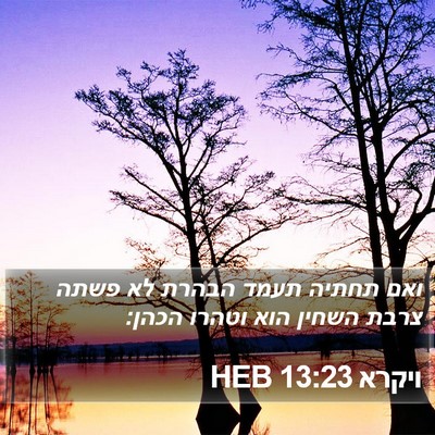 ויקרא 13:23 HEB Bible Verse Image