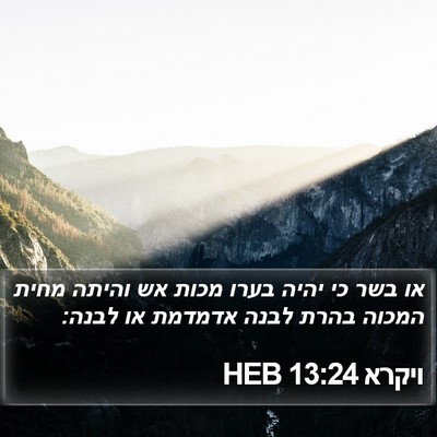 ויקרא 13:24 HEB Bible Verse Image