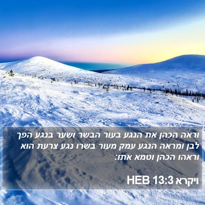 ויקרא 13:3 HEB Bible Verse Image