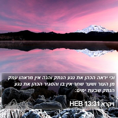 ויקרא 13:31 HEB Bible Verse Image
