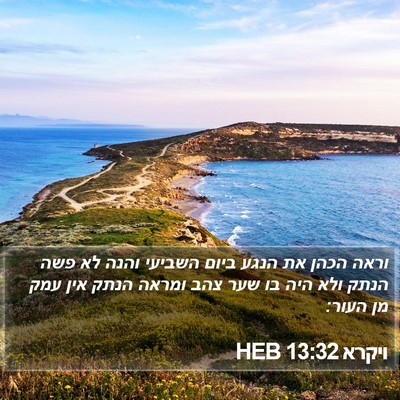ויקרא 13:32 HEB Bible Verse Image