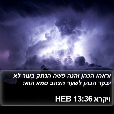ויקרא 13:36 HEB Bible Verse Image