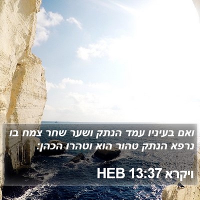 ויקרא 13:37 HEB Bible Verse Image