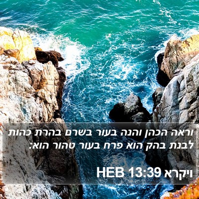 ויקרא 13:39 HEB Bible Verse Image
