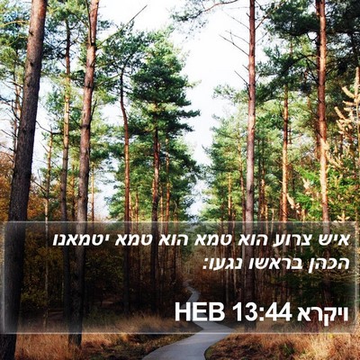 ויקרא 13:44 HEB Bible Verse Image
