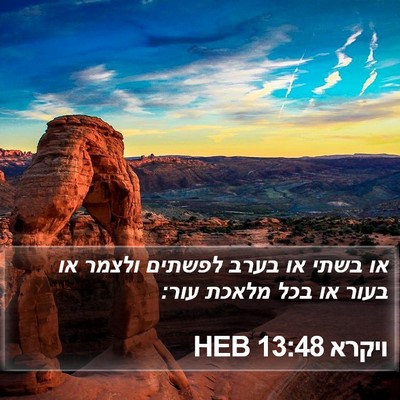 ויקרא 13:48 HEB Bible Verse Image
