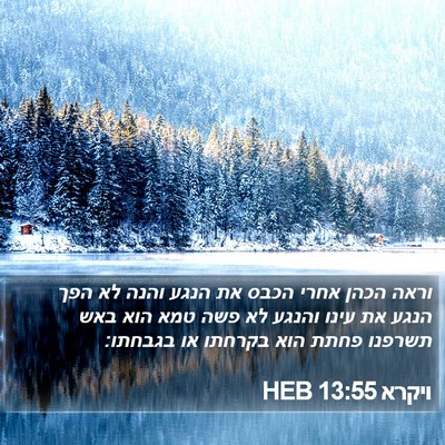 ויקרא 13:55 HEB Bible Verse Image