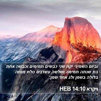 ויקרא 14:10 HEB Bible Verse Image
