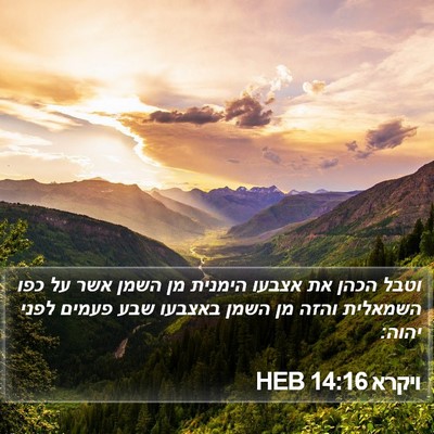 ויקרא 14:16 HEB Bible Verse Image