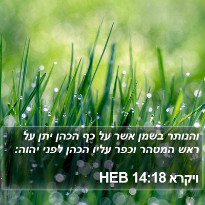 ויקרא 14:18 HEB Bible Verse Image