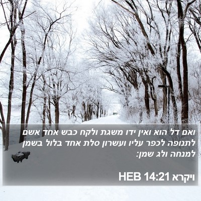 ויקרא 14:21 HEB Bible Verse Image