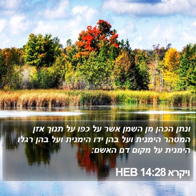 ויקרא 14:28 HEB Bible Verse Image