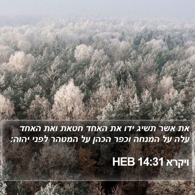 ויקרא 14:31 HEB Bible Verse Image