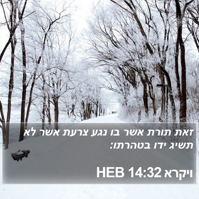 ויקרא 14:32 HEB Bible Verse Image