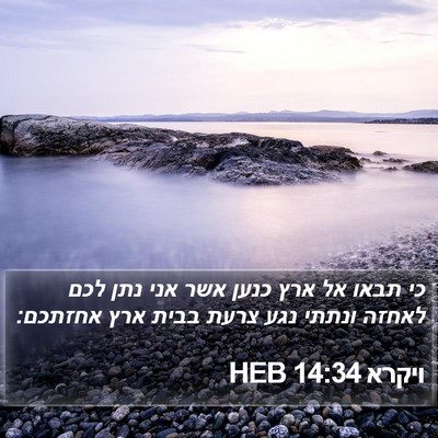 ויקרא 14:34 HEB Bible Verse Image